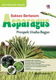 Sukses Bertanam Asparagus [Prospek Usaha Bagus]