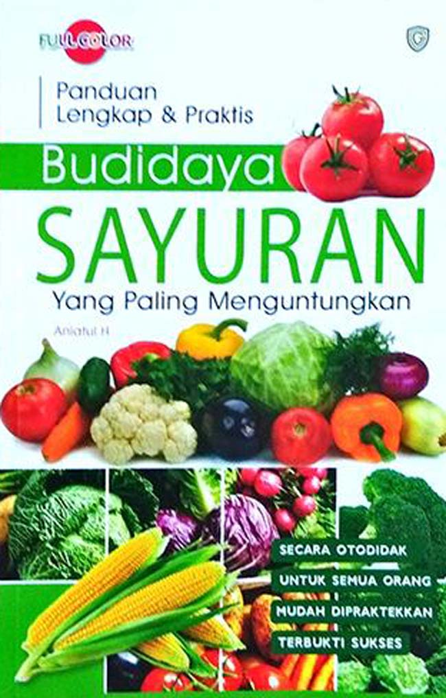 Budidaya Sayuran [Yang Paling Menguntungkan]